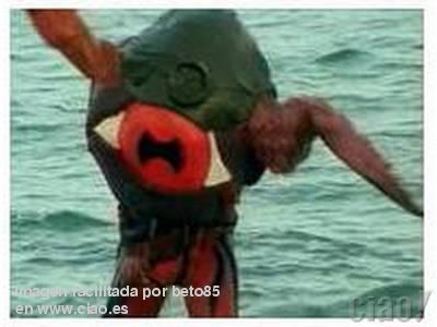 Jocántaro!!!!